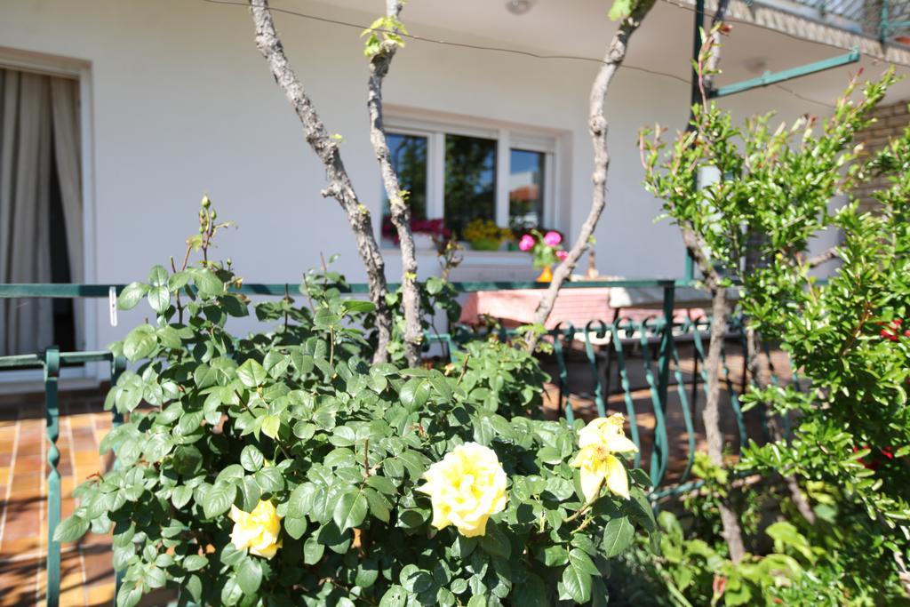 Apartment Marin Donji Seget Εξωτερικό φωτογραφία